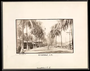Udsigt over en palmebeklædt grusvej gennem Cristobal, Panama, under konstruktionen af kanalen, 1912 eller 1913 (sølv gelatinetryk)